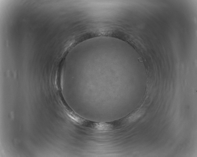 X0000065980336200603031201