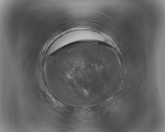 X0000065980337200603031200