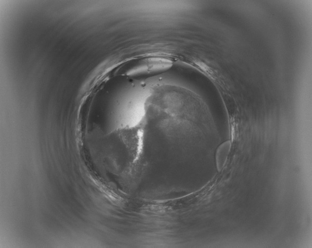 X0000065980339200603031200