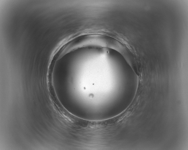 X0000065980340200603031200