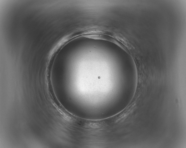 X0000065980341200603031200