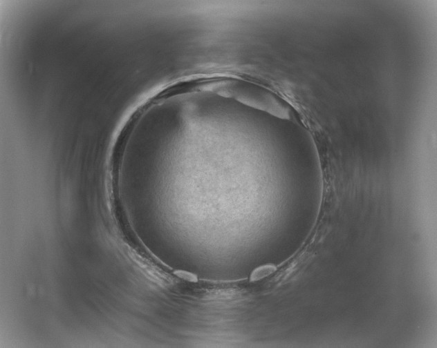 X0000065980342200603031200