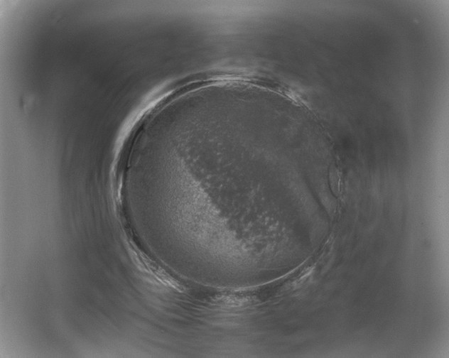 X0000065980343200603031200