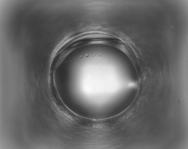 X0000065980344200603031200