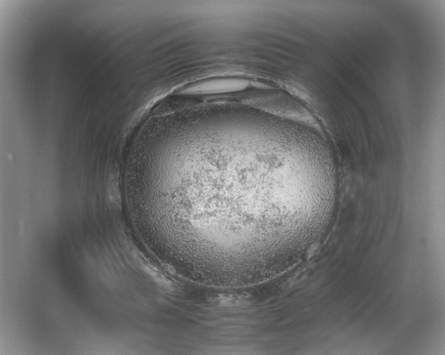 X0000065980345200603031200