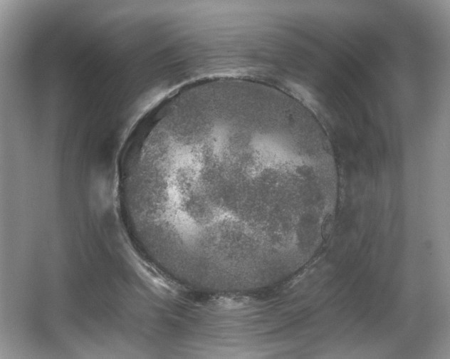 X0000065980346200603031200