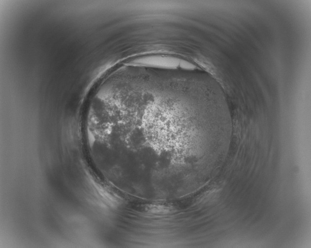 X0000065980347200603031200