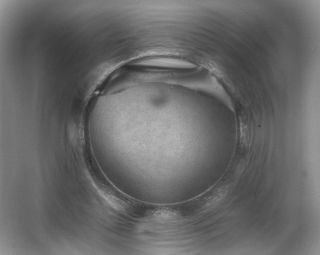 X0000065980348200603031200