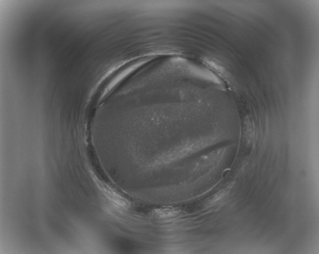 X0000065980351200603031200