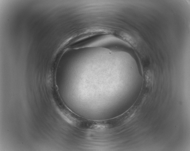 X0000065980352200603031200