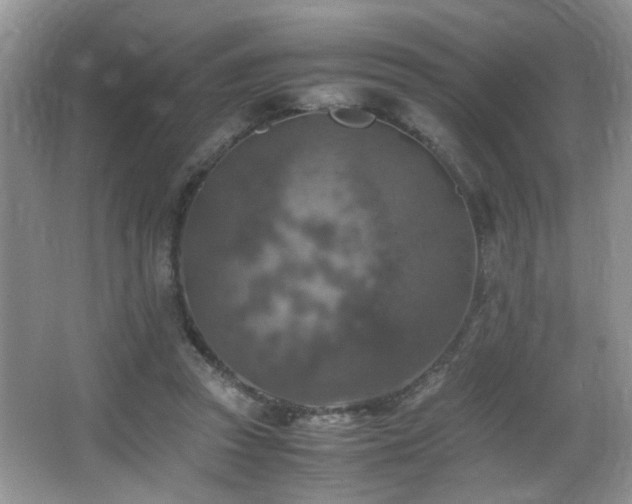 X0000065980353200603031200