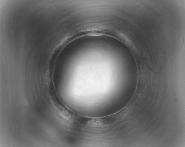 X0000065980354200603031200