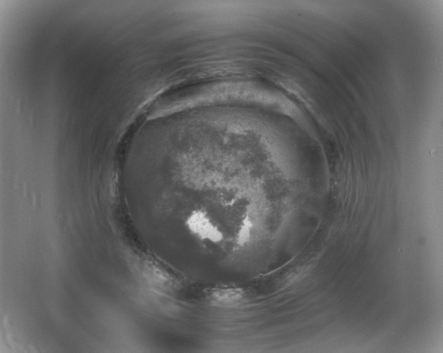 X0000065980355200603031200