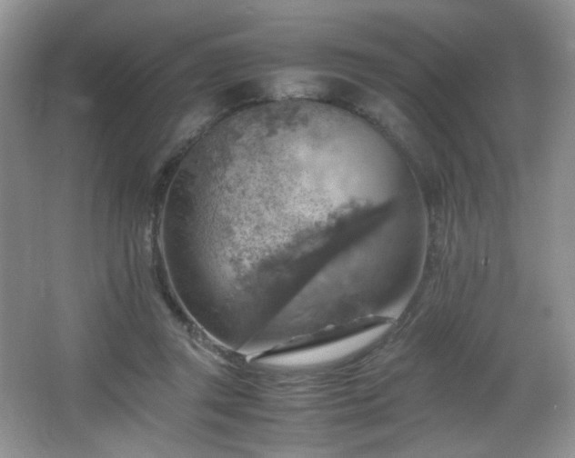 X0000065980357200603031200