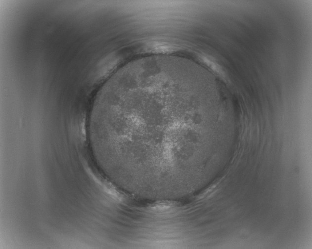 X0000065980358200603031200