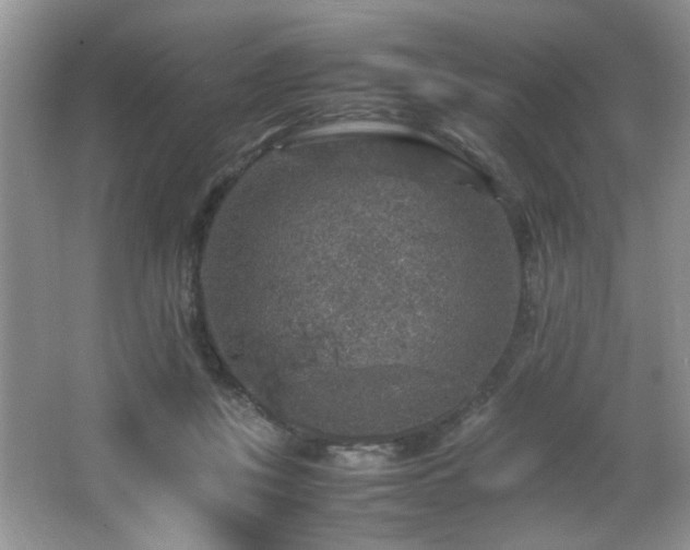 X0000065980359200603031201