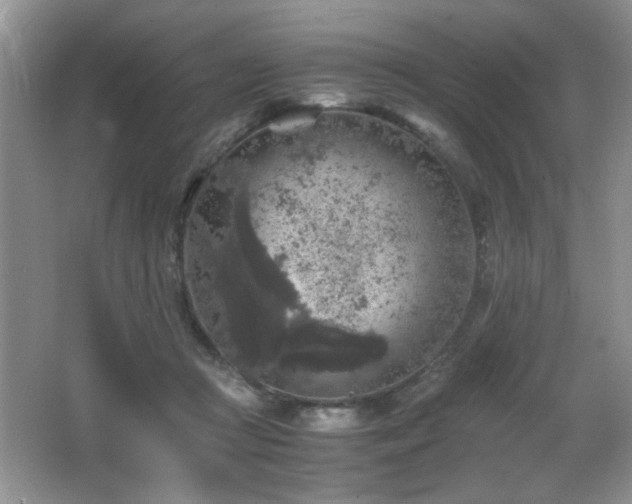 X0000065980361200603031201