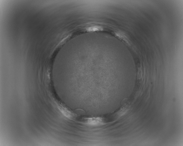 X0000065980363200603031201