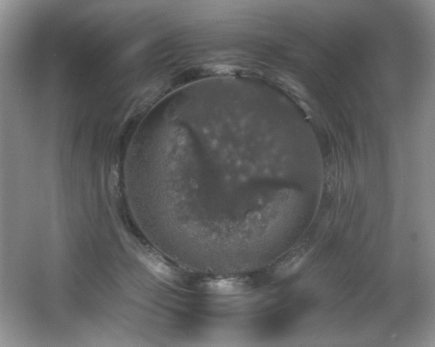 X0000065980365200603031201