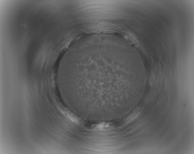 X0000065980366200603031201