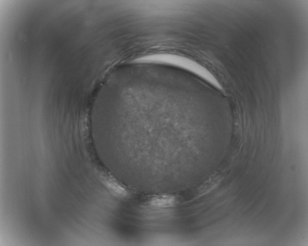 X0000065980369200603031201