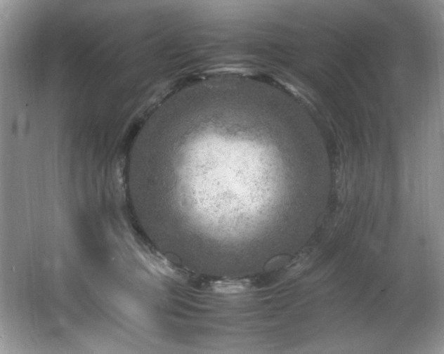 X0000065980373200603031201