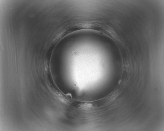 X0000065980374200603031201