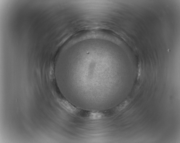 X0000065980376200603031201