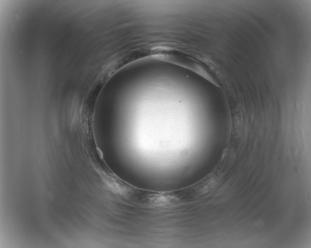 X0000065980379200603031201