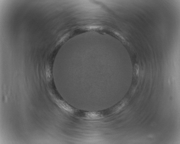 X0000065980380200603031201