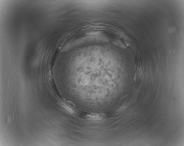 X0000065980381200603031201