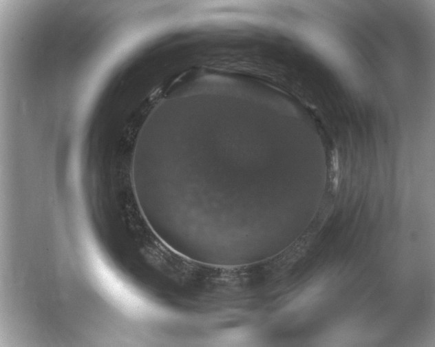 X0000065980383200603031201