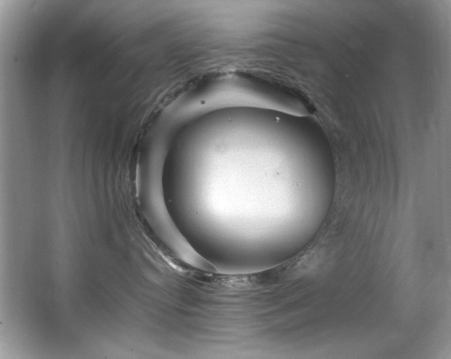 X0000065980384200603031201