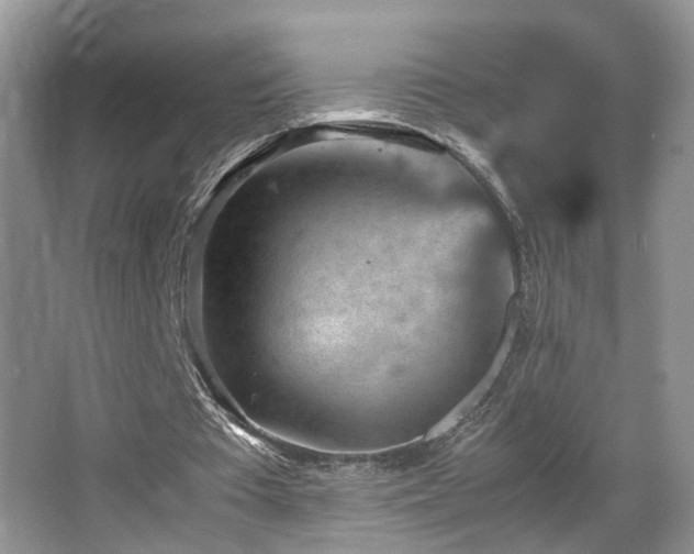 X0000065980385200603031200