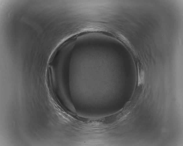 X0000065980387200603031200