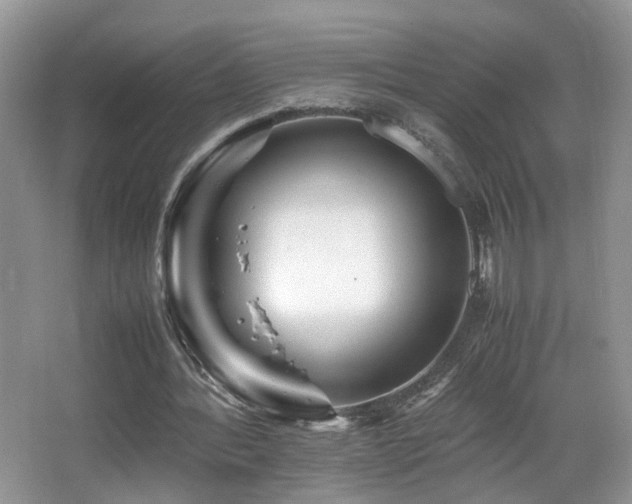 X0000065980388200603031200