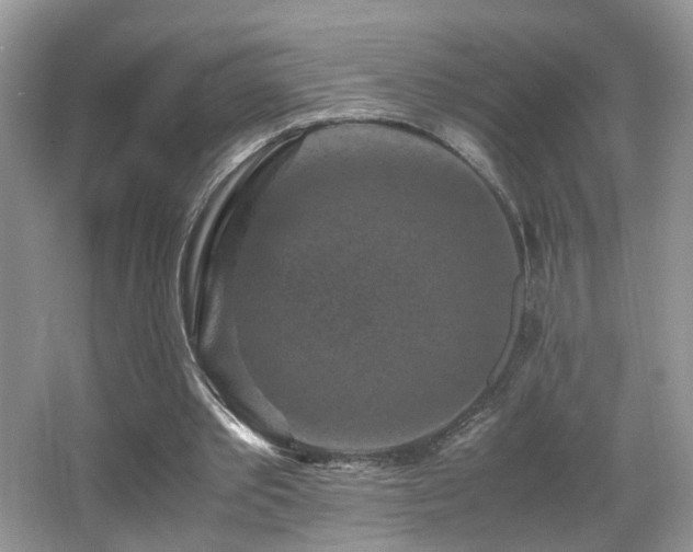 X0000065980389200603031200