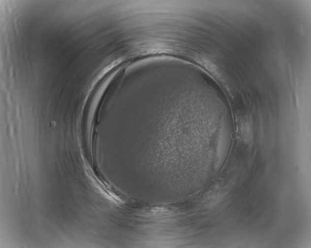 X0000065980390200603031200