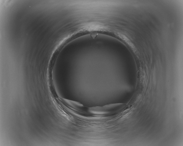 X0000065980391200603031200