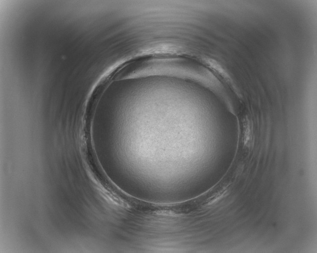 X0000065980392200603031200