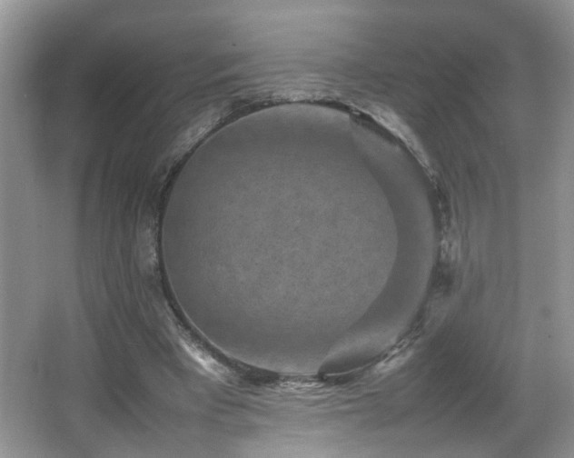 X0000065980393200603031200