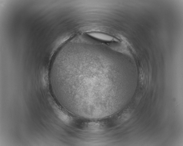 X0000065980394200603031200