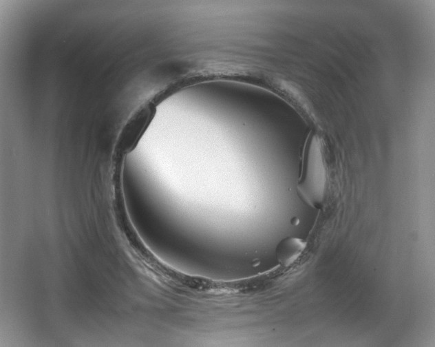 X0000065980395200603031200