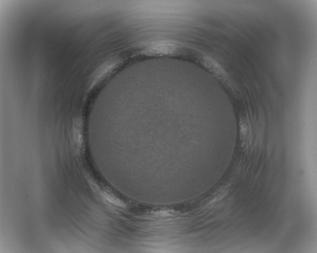 X0000065980396200603031200