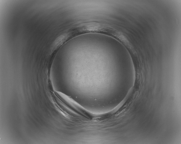 X0000065980397200603031200