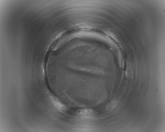 X0000065980398200603031200