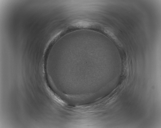 X0000065980399200603031200