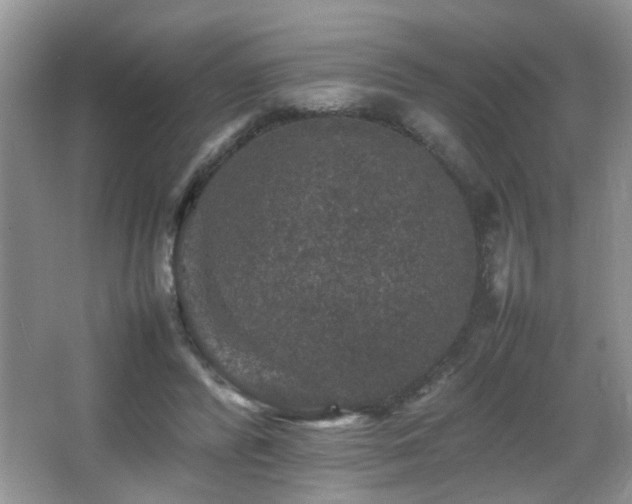 X0000065980400200603031200