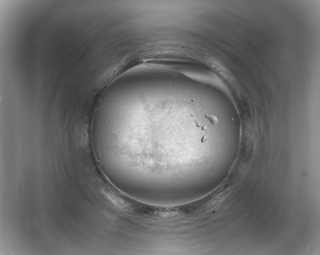 X0000065980401200603031200