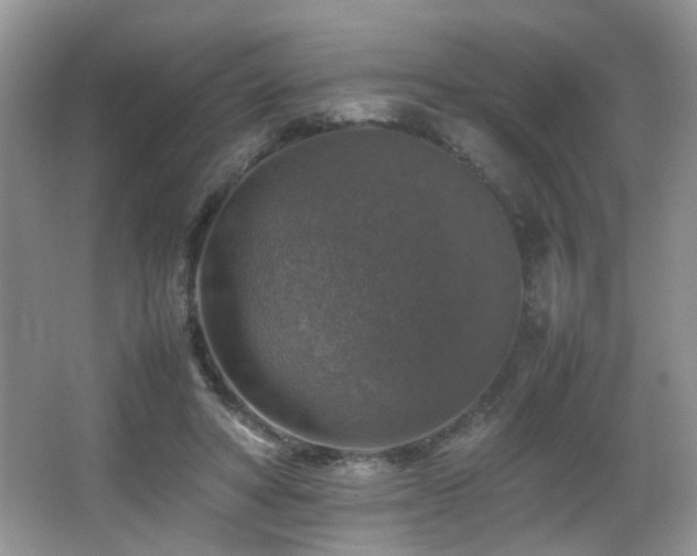 X0000065980402200603031200